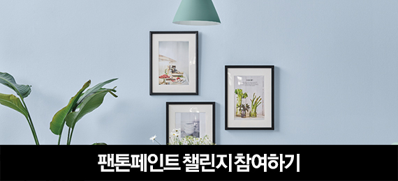 메인 공지 이미지